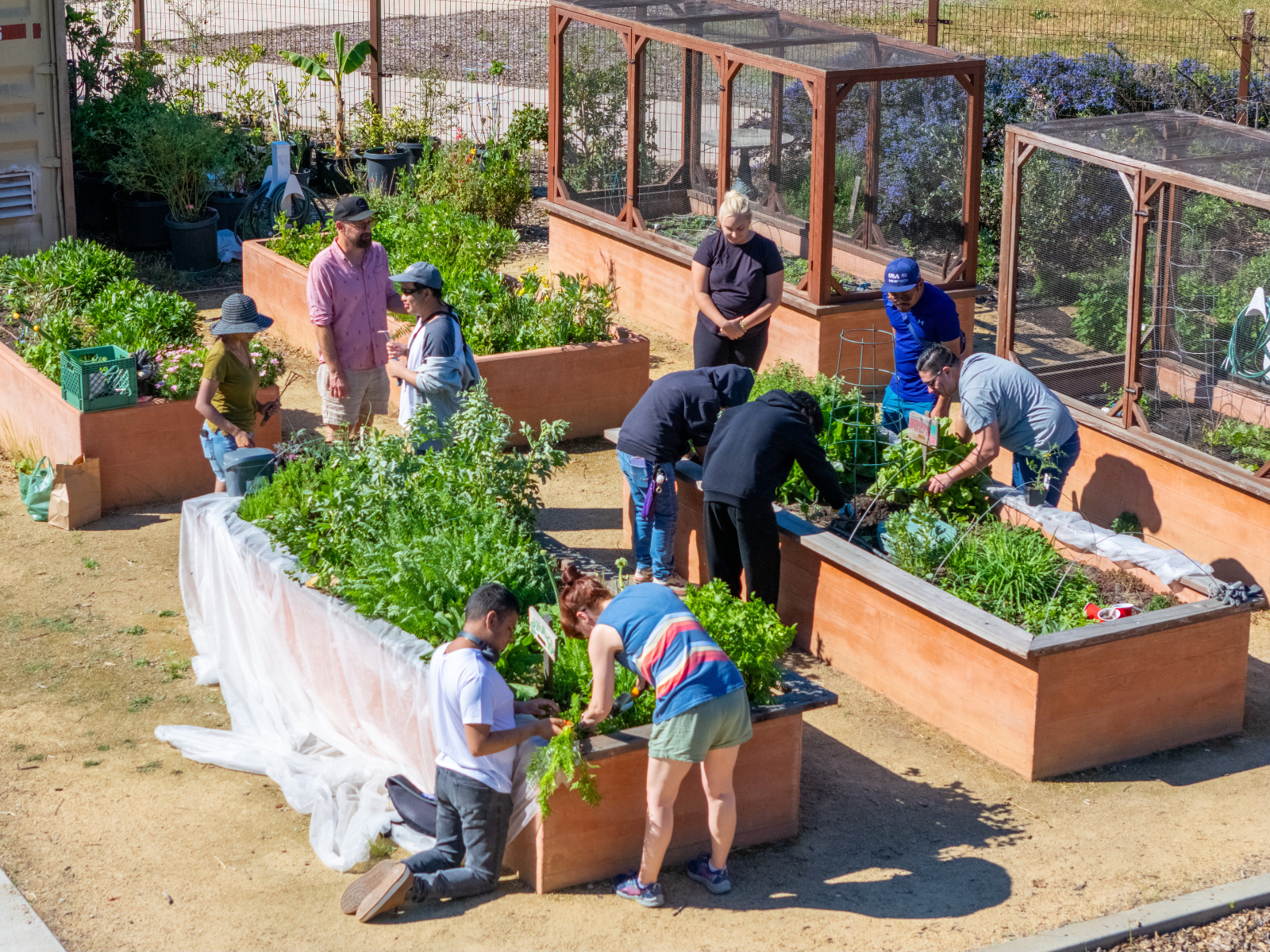 LCG Volunteering